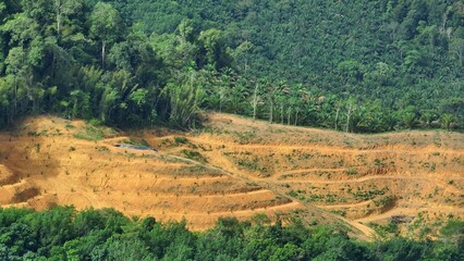 The aerial view shows forest loss giving way to barren, eroded terraces. This deforested land reveals the fragility of ecosystems under human pressure.
