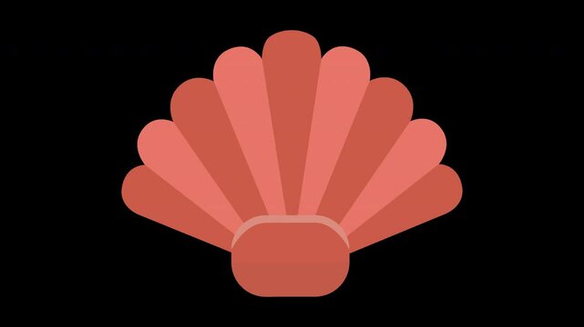 Elegant Seashell Graphic Animation oon a Transparent Background for Design Projects