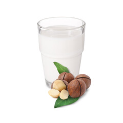 Nut milk in glass and macadamias isolated on white