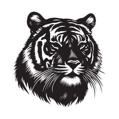 tiger silhouette, editable vector image