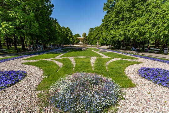 Garden Flowers