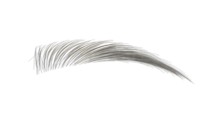 Single Realistic Detailed Eyebrow Isolated with Transparent Background Perfect for Cosmetic Projects and Enhancing Character Illustrations Provides Realistic Touch Clip Art