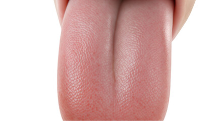 Fototapeta premium Realistic Detailed Human Tongue Macro Isolated on Transparent Background Clipart