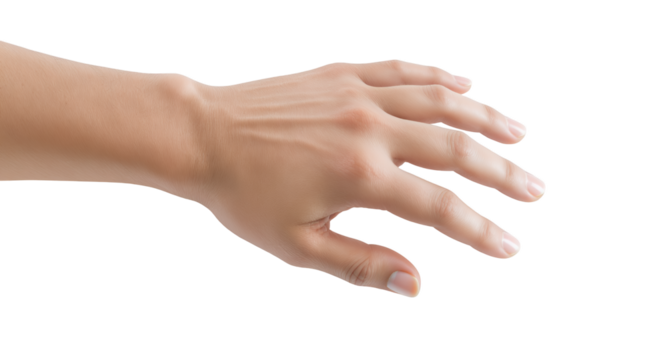 Realistic Human Hand Clipart on Transparent Background Isolated in White Skin Tone Graphic Design Element