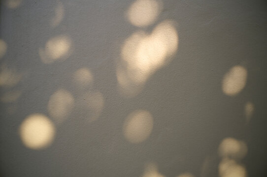 Soft sunlight creates gentle patterns on a textured wall