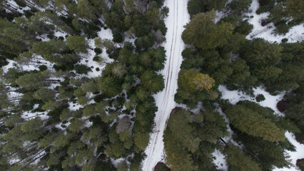 Aerial Drone View of Snowy Forest Road Surrounded by Pine Trees in Remote Winter Wilderness