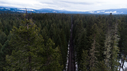 Drone Aerial View of Snowy Forest Road Leading to Distant Winter Mountains Under Cloudy Sky