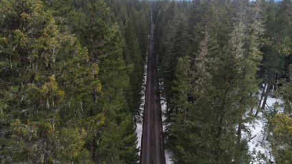 Drone Aerial View of Snowy Mountain Forest Road with Pine Trees and Distant Mountains in Winter