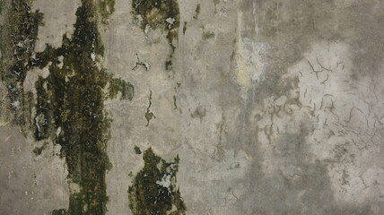 Gray walls covered in moss are good for backgrounds