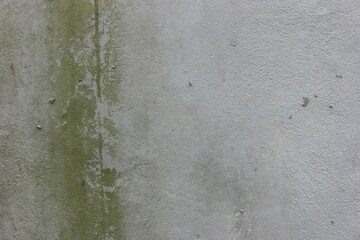 Gray walls covered in moss are good for backgrounds