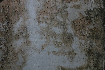 Gray walls covered in moss are good for backgrounds