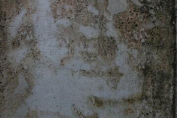 Gray walls covered in moss are good for backgrounds