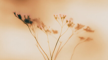 Delicate shadow of dried wildflowers on soft beige background, minimal natural floral composition for decor or design template