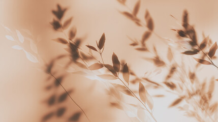 Soft shadows of leaves on warm beige background, natural abstract botanical silhouette for minimalist interior decor or organic design concept