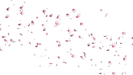 舞い落ちるたくさんの花びら