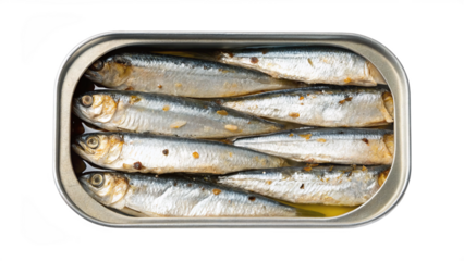 neatly packed sardines in an opened tin can - food preservative