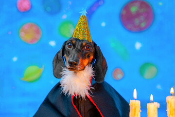 A dachshund predictor wearing a glittery wizard hat and cape, set against a vibrant cosmic backdrop with colorful planets. three lit candles add a magical ambiance.