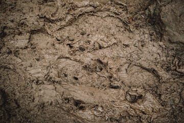 Mud Texture Close Photography Rich