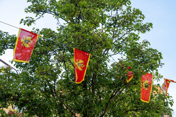 Red and yellow montenegro flags with a central emblem are strung on tree branches, set against vibrant green leaves and a clear sky, capturing a festive and nationalistic atmosphere.
