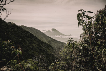Misty Mountain Peaks A Breathtaking View from the Lush Rainforest