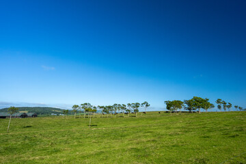 Fototapeta premium Blue sky and farm