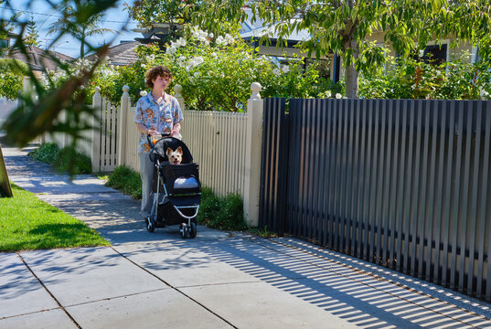 Non binary youth pushing their old dog in a dog pram