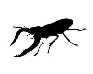 クワガタムシのシルエットイラスト © sokabe