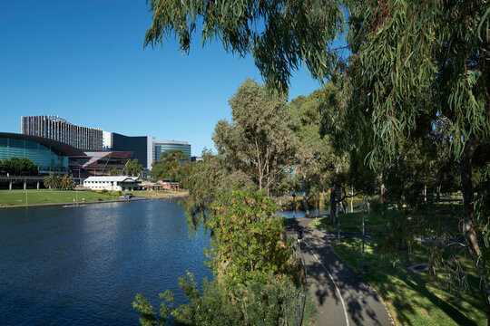 Riverbank view with trees and cycling path in Adelaide SA