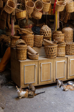 street cats near a stall at a bazaar selling wicker goods