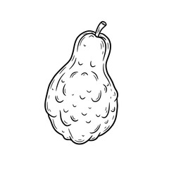 Handdrawn illustration of a warty pear with a short stem in black outline