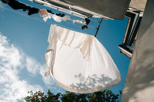 Laundry hanging above orange tree viewed from below