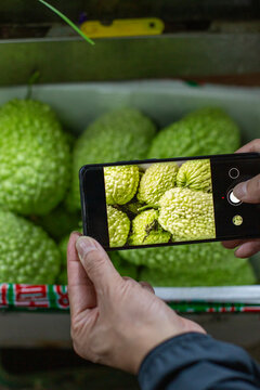 Smartphone and balsam pear