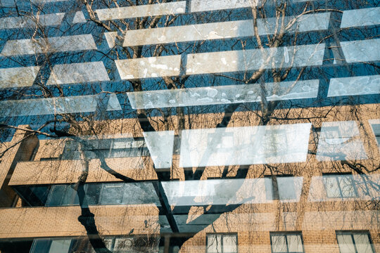 Tree and building reflection through patterned glass
