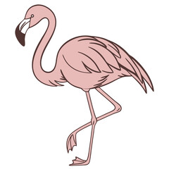 An illustration of a flamingo standing on one leg with its head turned to the side and a curved neck shape