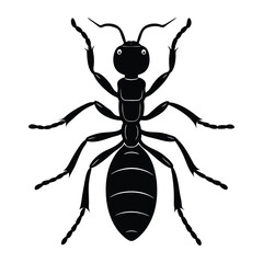 Engraving-style ant silhouette featuring fine lines and detailed contours, showcasing the insect's segmented body, legs, and antennae in a vintage, artistic design.
