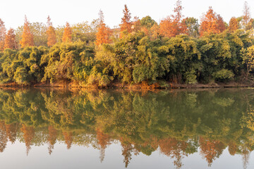 Beautiful colorful forest landscape in autumn season