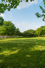 Beautiful panorama of green city park