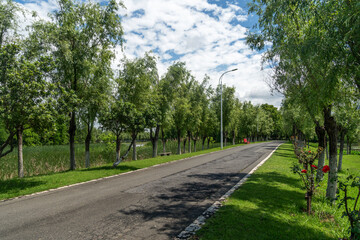 New pathway and beautiful trees track for running or walking and cycling relax in the park