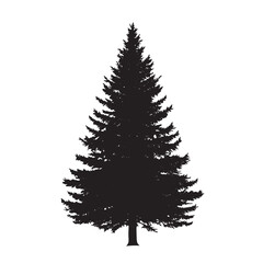 Fototapeta premium Hand-Drawn Pine Tree Silhouette