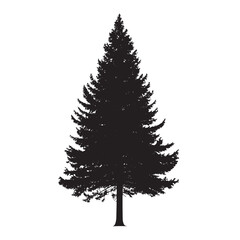 Fototapeta premium Isolated Fir Pine Tree Silhouette