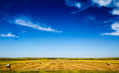 The Great Plains of South Dakota in Summer