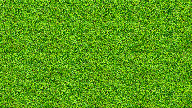 Green grass texture for background. Green lawn pattern and texture background. Close-up.