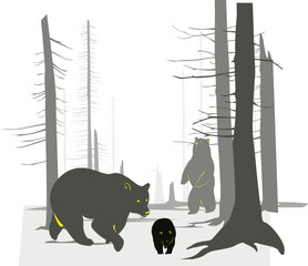 Vector Bears in winter forest landscape illustration drawing