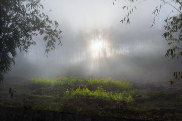 Morning mist landscape of Ha Giang, Vietnam
