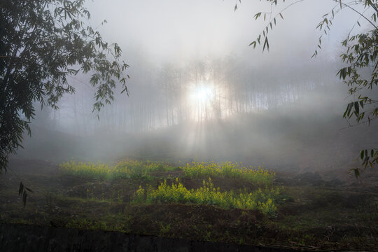 Morning mist landscape of Ha Giang, Vietnam