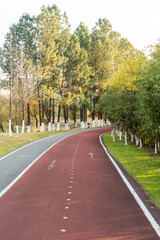 New pathway and beautiful trees track for running or walking and cycling relax in the park