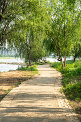 Fototapeta premium The road of City Park in China