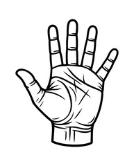 Fototapeta premium Illustration of an Open Hand with Fingers together, Palm Visible, White Background