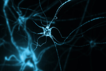 Anatomy background with neuron cells