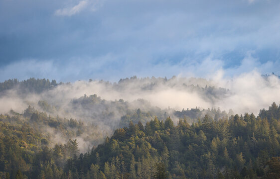Fototapeta Foggy hillside